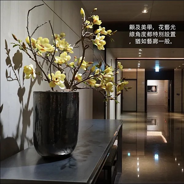 桃大圖說 _08.png